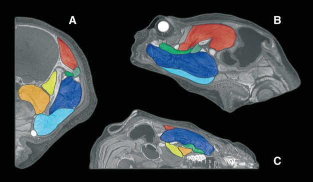 Fig 5