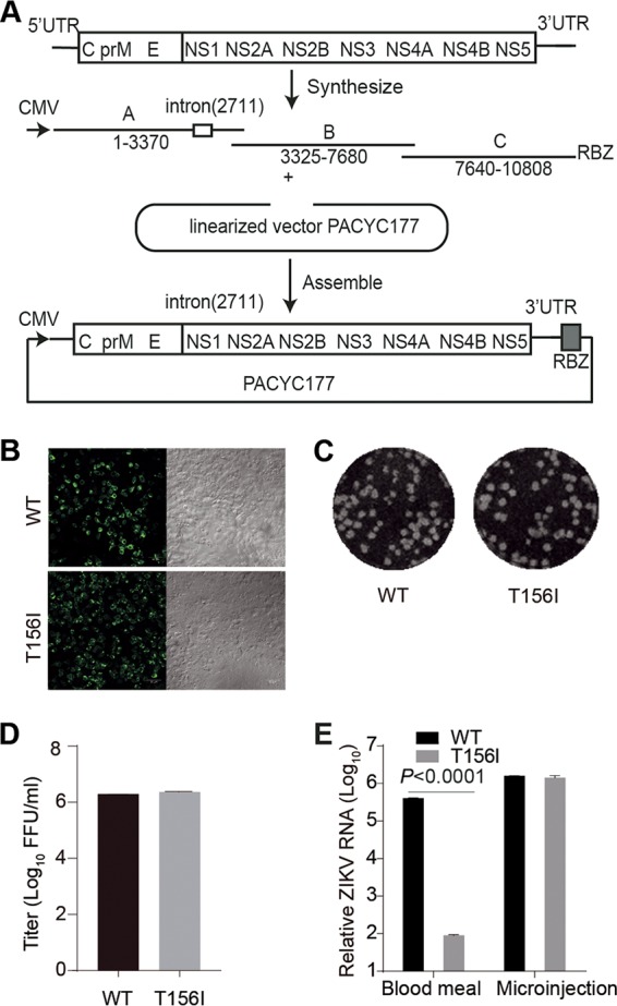 FIG 4 