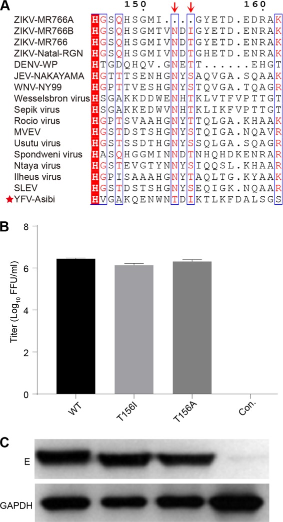 FIG 1 