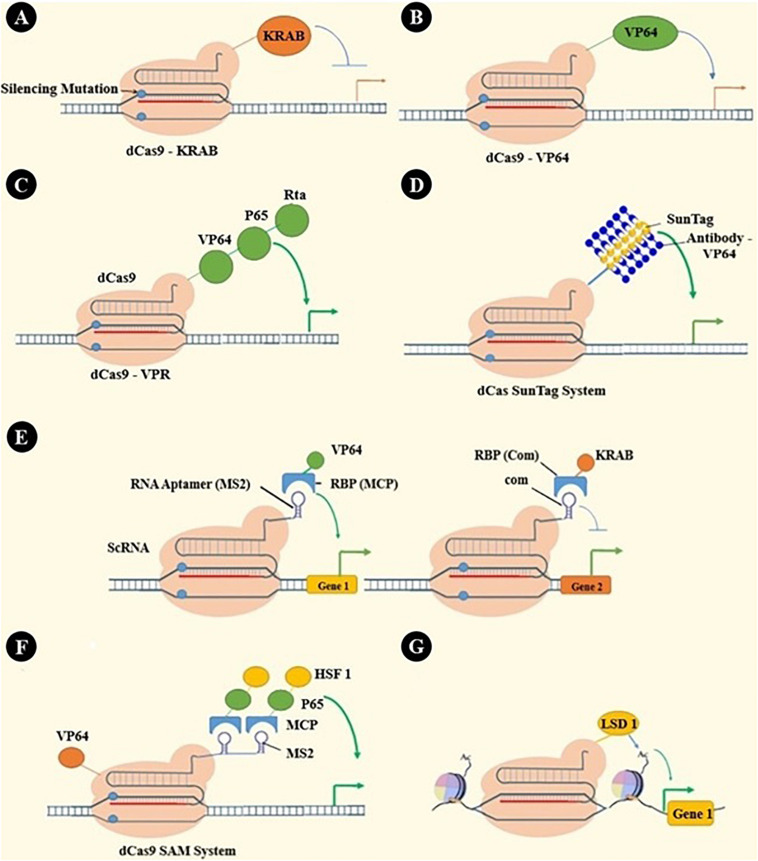 FIGURE 3