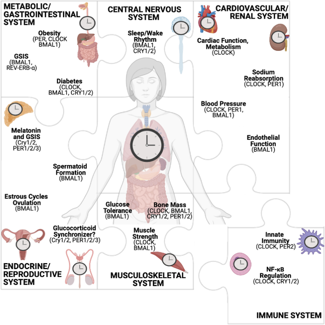 Figure 6.