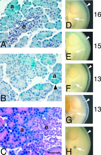 FIG. 5.