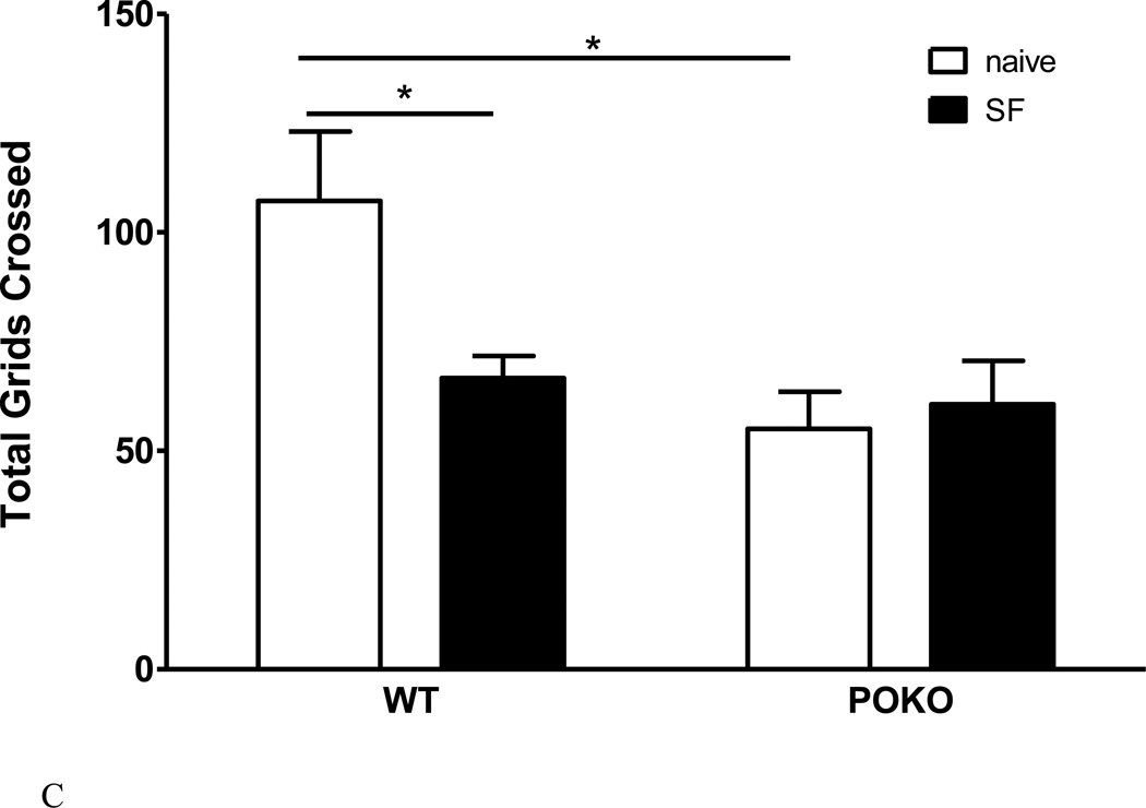 Fig.7