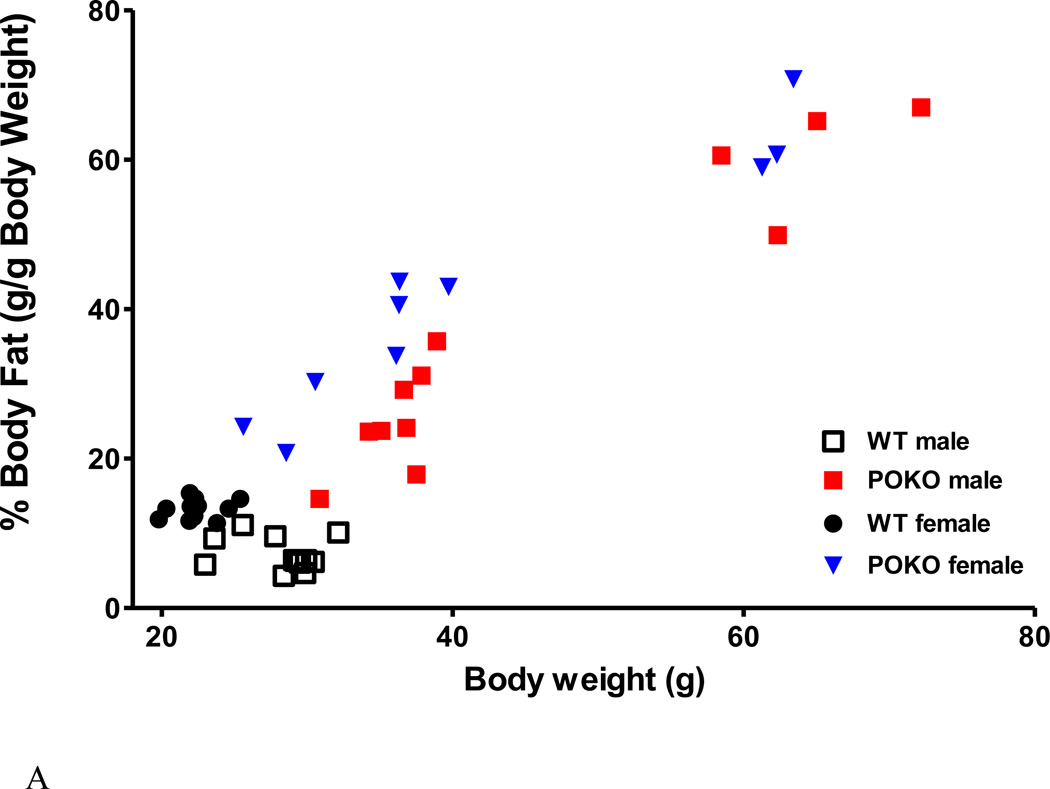 Fig.6