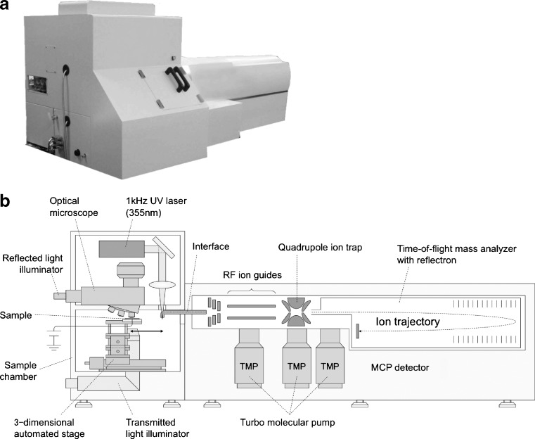 Fig. 1