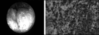 FIG. 8.7.
