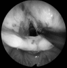 FIG. 8.12.