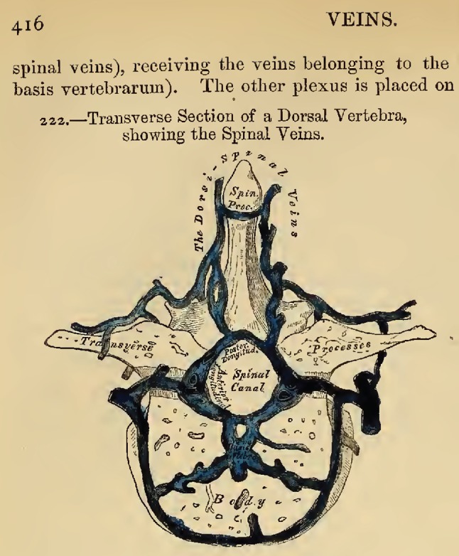 Fig. 5