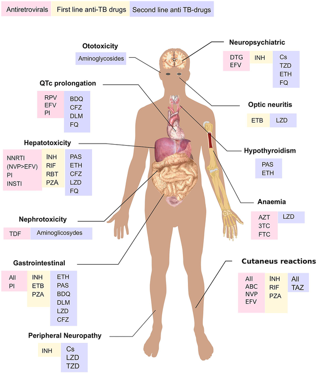 Figure 1: