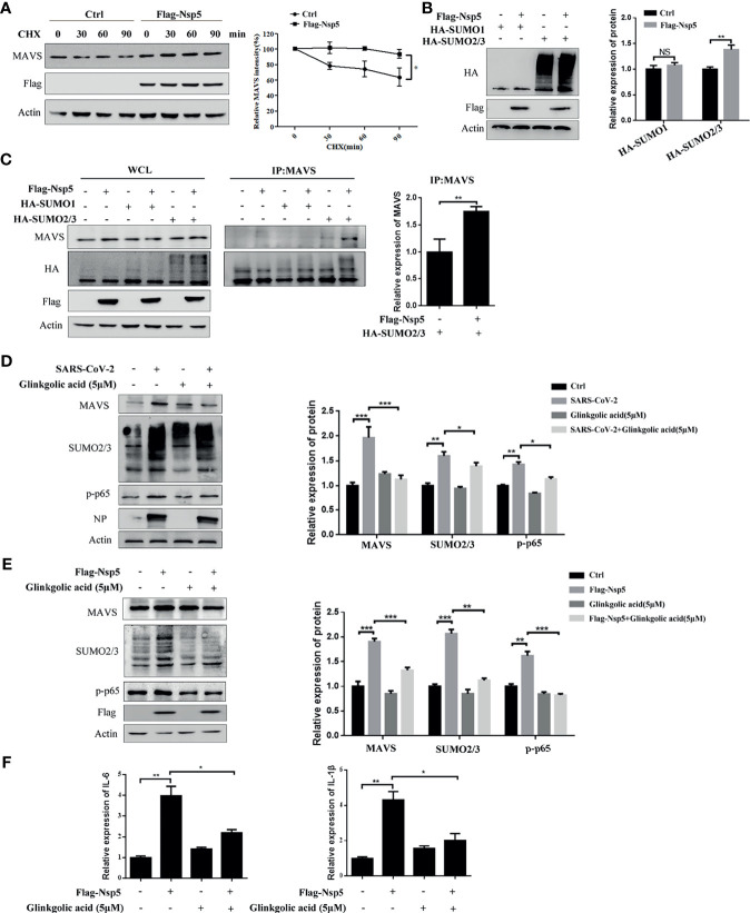 Figure 4