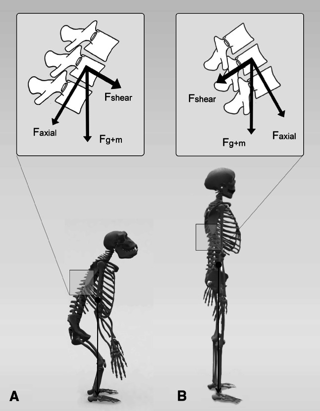 Fig. 6