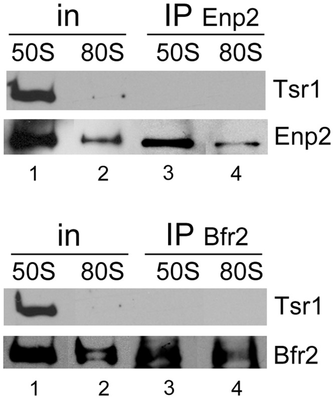 Figure 9.