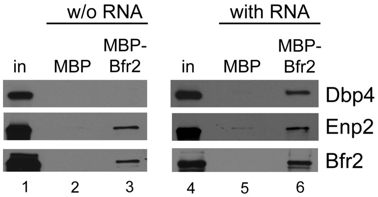 Figure 10.