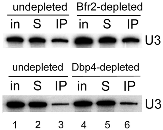 Figure 11.