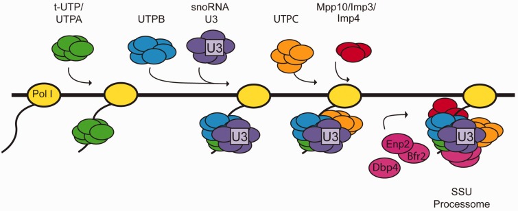 Figure 12.