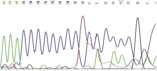 Fig. 4