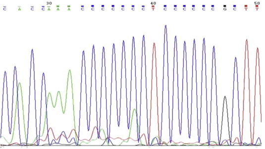 Fig. 3