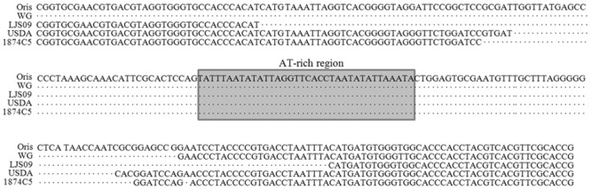 Fig 4