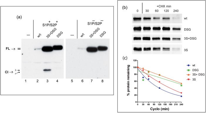 FIGURE 3: