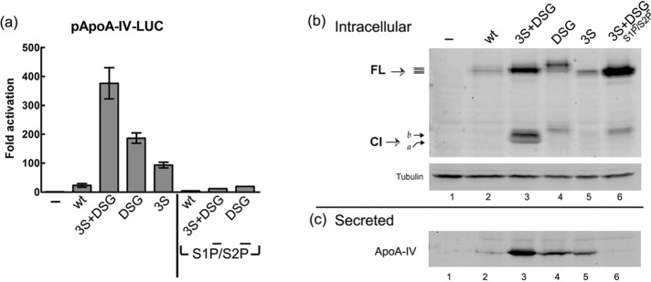 FIGURE 9: