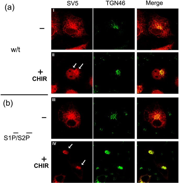 FIGURE 7: