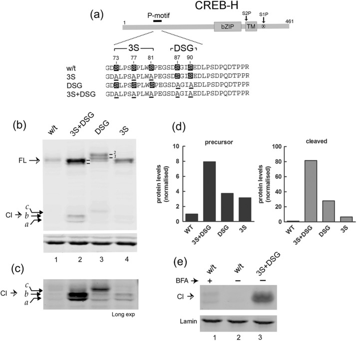 FIGURE 2: