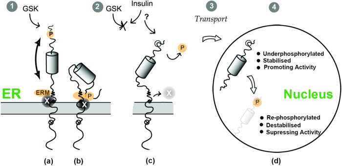 FIGURE 10: