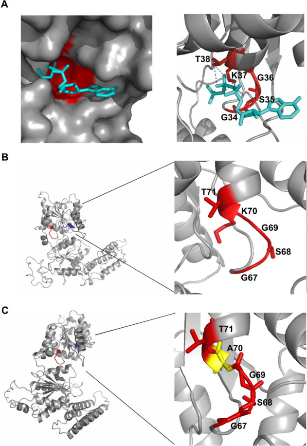 Fig. 4 