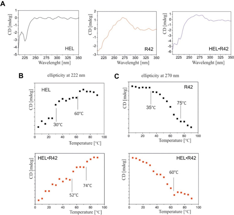 Fig. 7