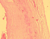 Figure 5: