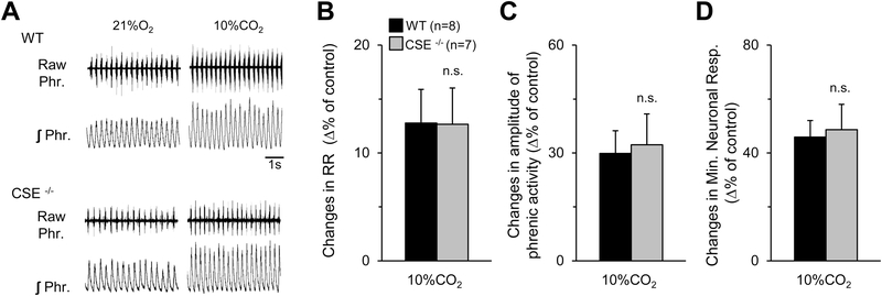 Figure 10.