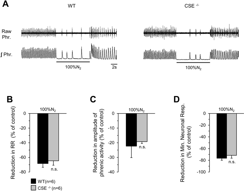 Figure 11.