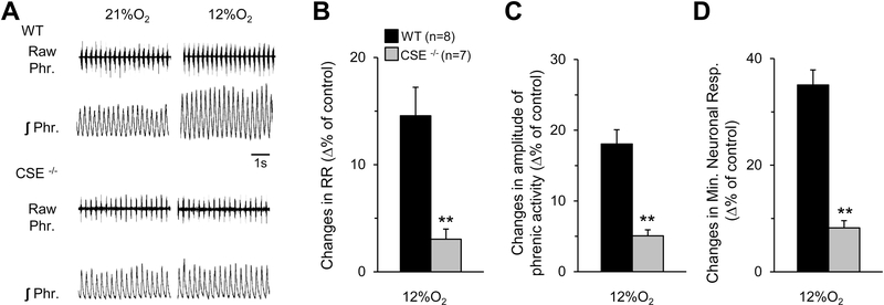 Figure 9.