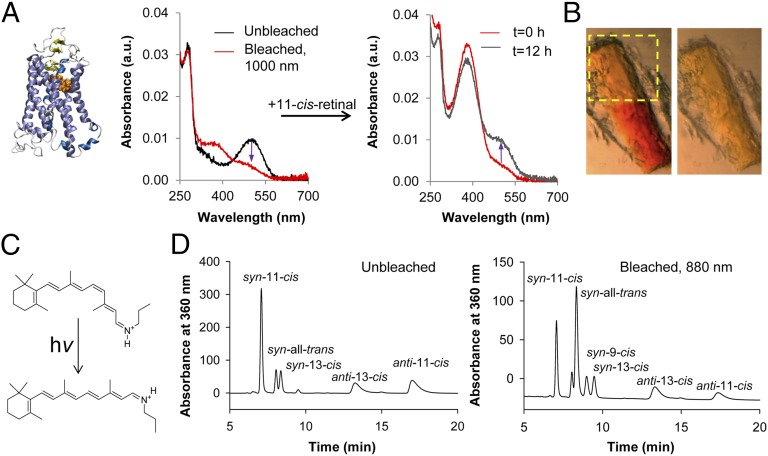 Fig. 4.