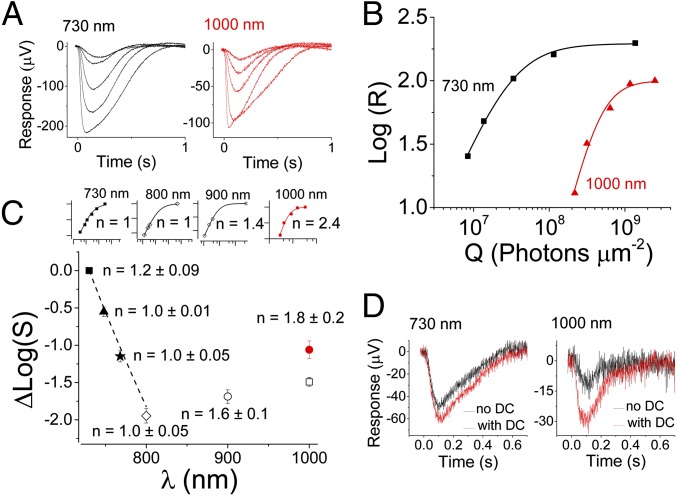 Fig. 3.