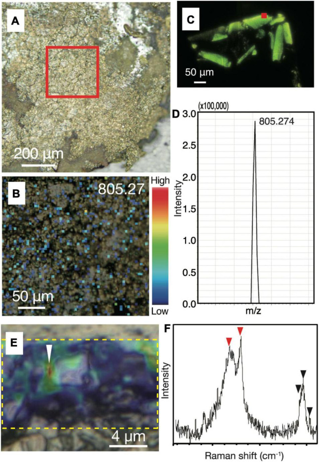 FIGURE 4