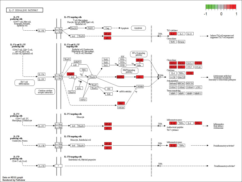 Figure 7.