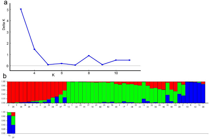 Figure 7