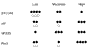 Supplementary Figure 5