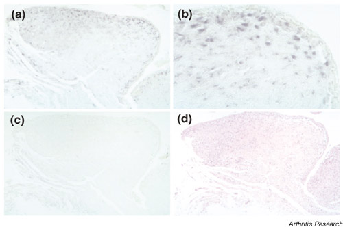 Supplementary Figure 3