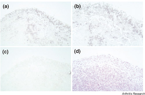 Supplementary Figure 2