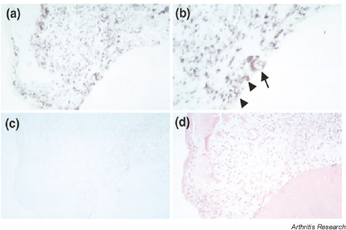 Supplementary Figure 4