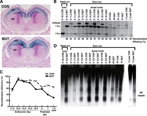 Figure 1.