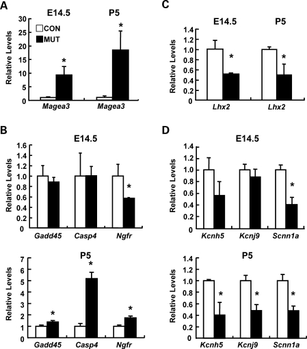 Figure 6.