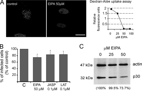 FIG. 7.