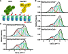 Figure 2—figure supplement 1.