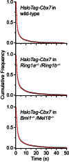 Figure 5—figure supplement 1.