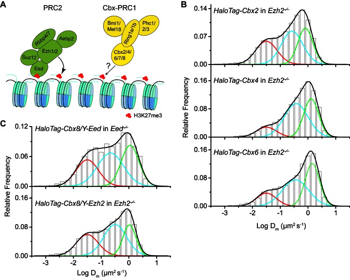 Figure 2—figure supplement 1.