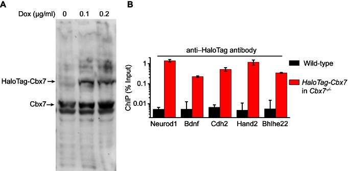 Figure 1—figure supplement 3.