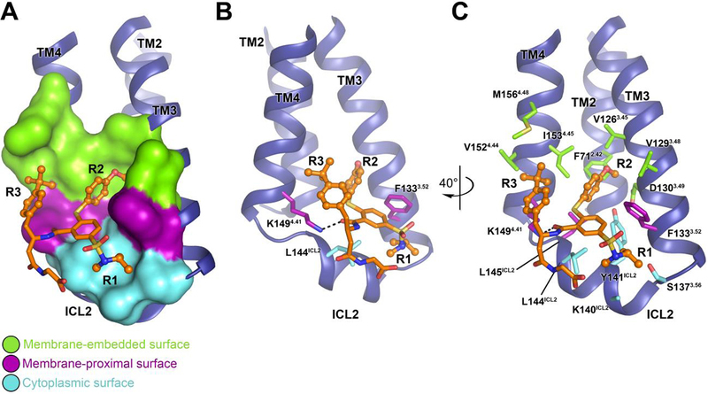 Fig. 2.